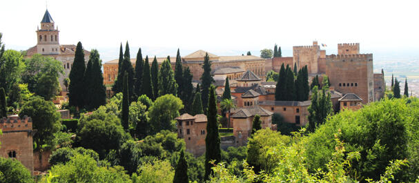 experto adulto salida cerca de Granada experto adulto salida cerca de Granada