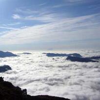Vista con niebla veraniega