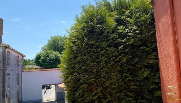 Foto de Restaurante San Paio