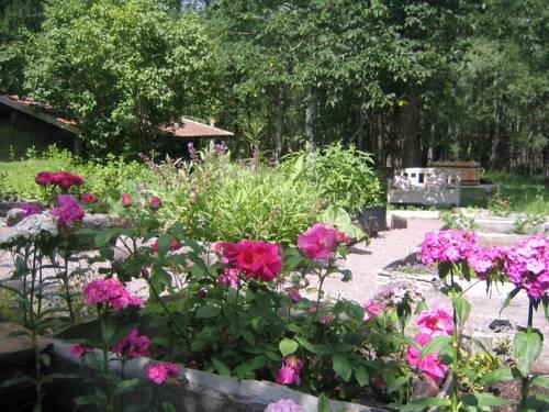 Photo – Bed-and-Breakfast Vita Krala