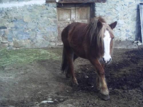 Foto de una habitación de Alquileres Vacacionales Ca L&amp;#039;Isidret