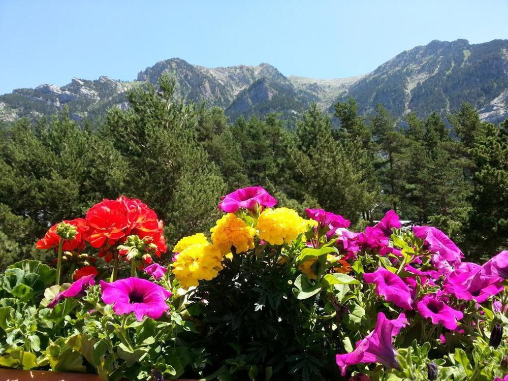 Foto del entorno de Hotel Villa de Canfranc