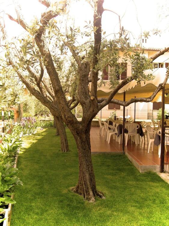 Foto del exterior de Hotel Azzurra