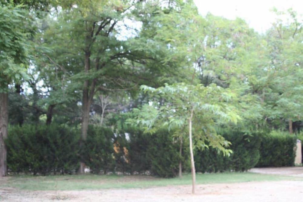 Foto del entorno de Camping Besalu