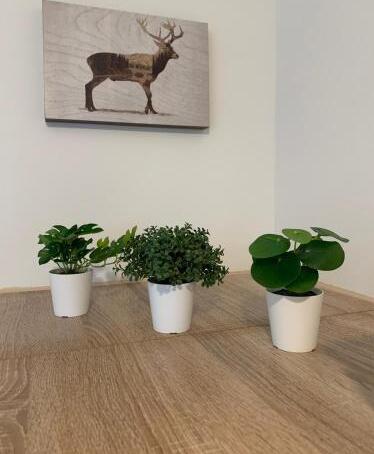 Foto general de Koblenz City Rooms, Wifi, Netflix
