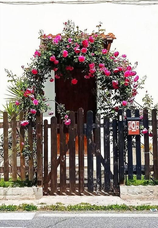 Foto del exterior de Va(i)lletta Fiorita