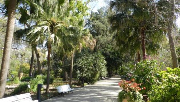 Foto de Hostal Jardín Botánico Rooms