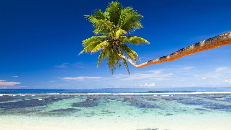 Photo - Equa Reef Maldives