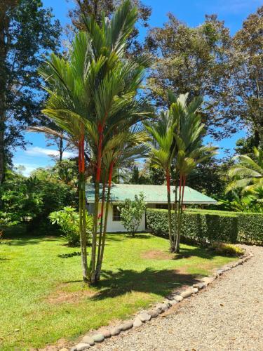 Foto de una habitación de La Rana De Cahuita