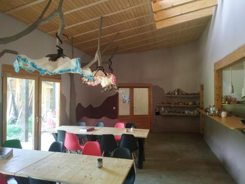 Foto de restauración de Mas la Llum