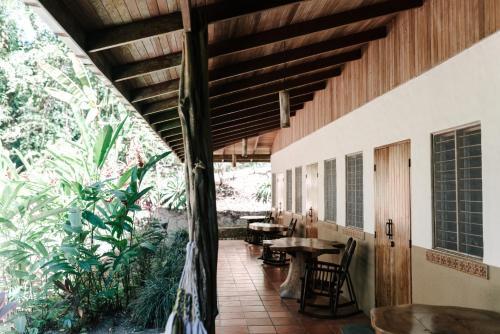 Foto del exterior de Bed-and-Breakfast Star Mountain Jungle Lodge