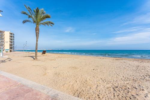 Foto general de Alquileres Vacacionales Alea Rentals - Viking