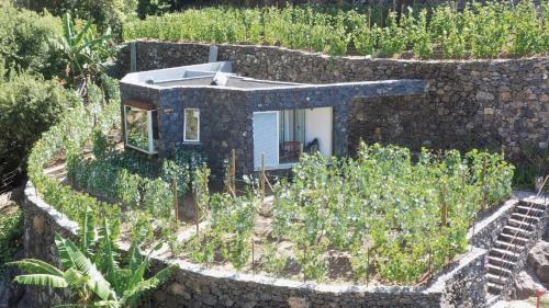 Foto general de Hotel Socalco Nature Calheta