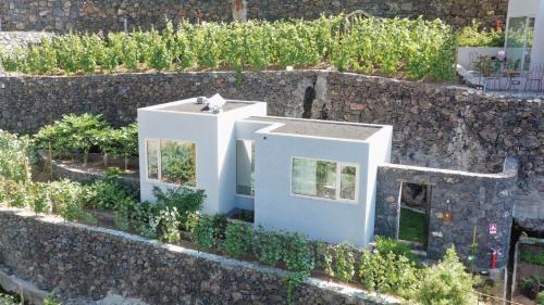 Foto general de Hotel Socalco Nature Calheta