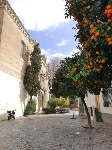 Foto del exterior de Santa Isabel Apartaments low cost rooms