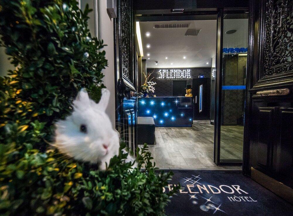 Foto del exterior de Hôtel Splendor Elysées