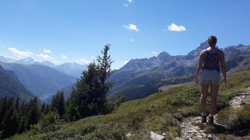 Foto del entorno de Chalet Solneige