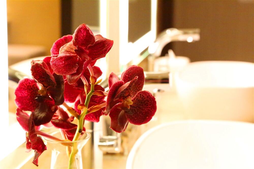 Photo – InterContinental Real Santo Domingo, an IHG Hotel