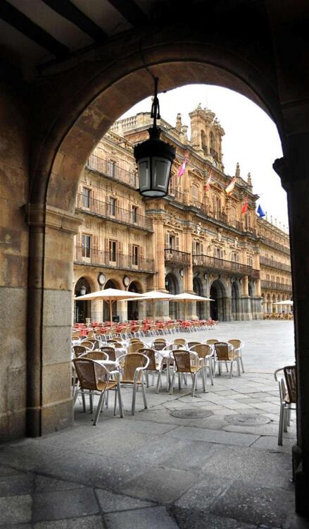 Foto de las zonas nobles de Hotel Catalonia Plaza Mayor Salamanca