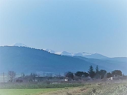 Foto del entorno de Parador de Santo Domingo de la Calzada