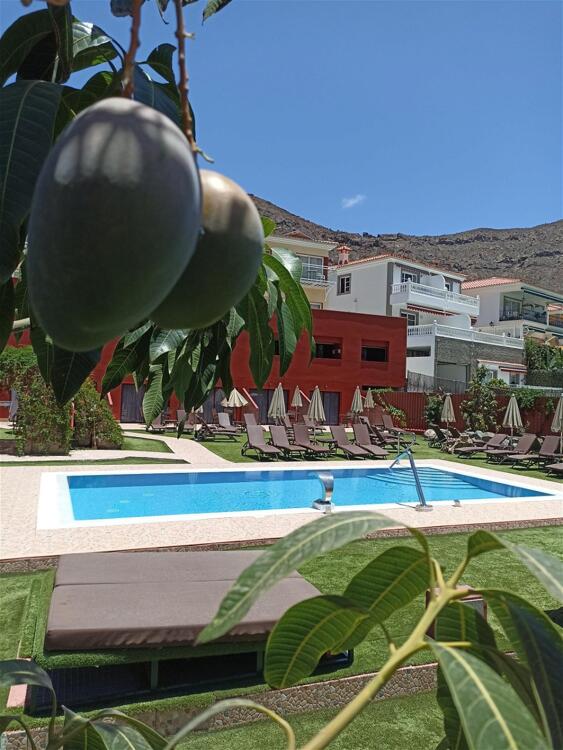 Foto general de Apartamentos Sol Mogan Suites
