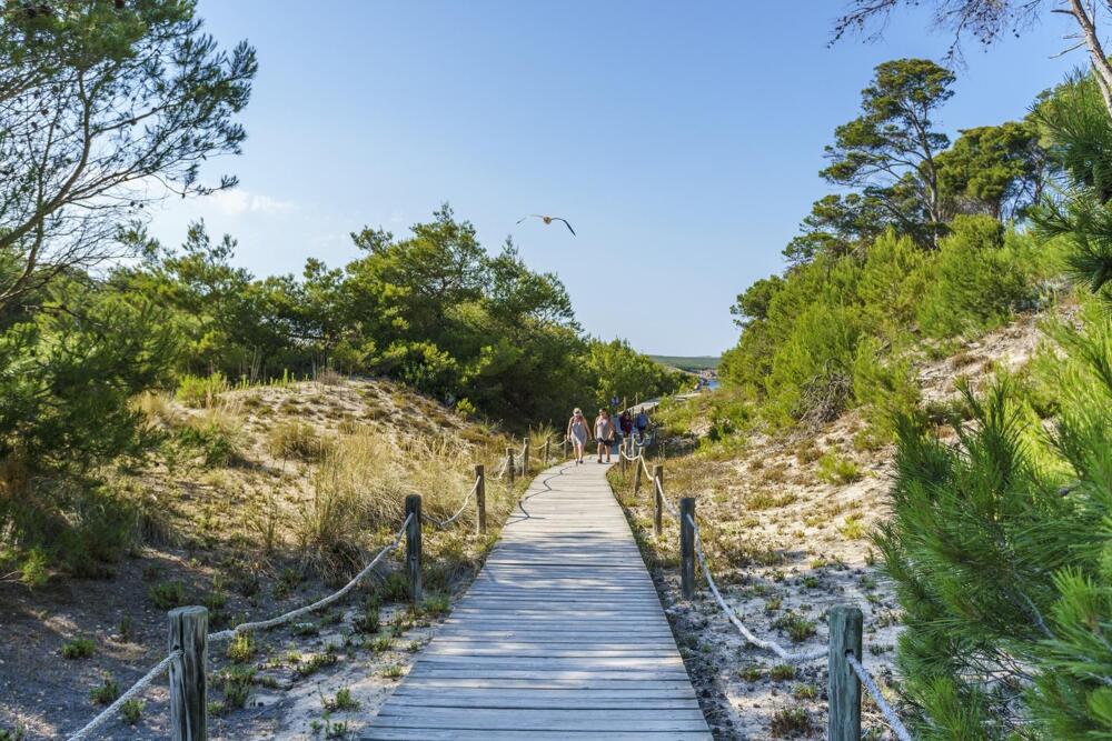 Foto del exterior de Apartamentos Posidonia