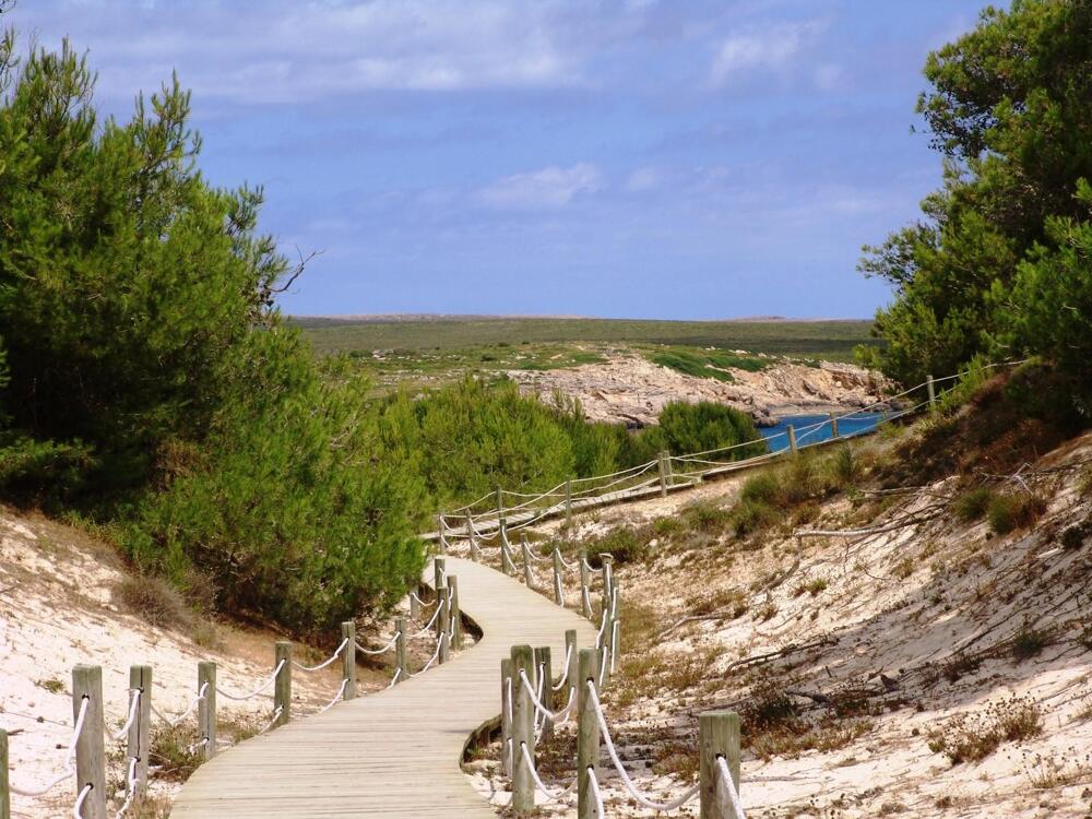 Foto del entorno de Apartamentos Posidonia