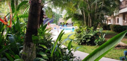 Foto de los servicios de Hotel Casa Iguana Mismaloya