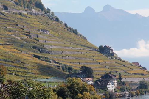 Foto general de Hotel Lavaux