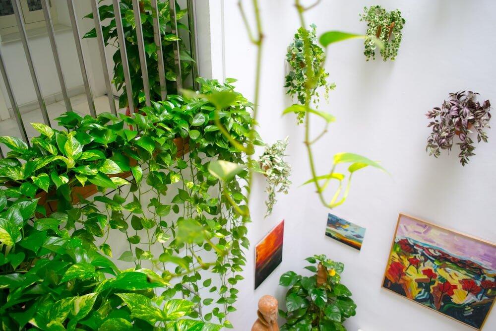 Foto de una habitación de Hotel Un Patio en Santa Cruz