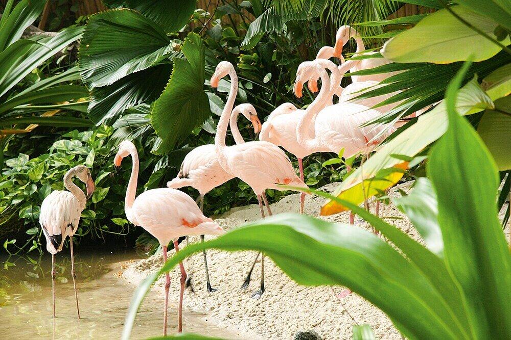 Foto general de Camping Tropical Islands