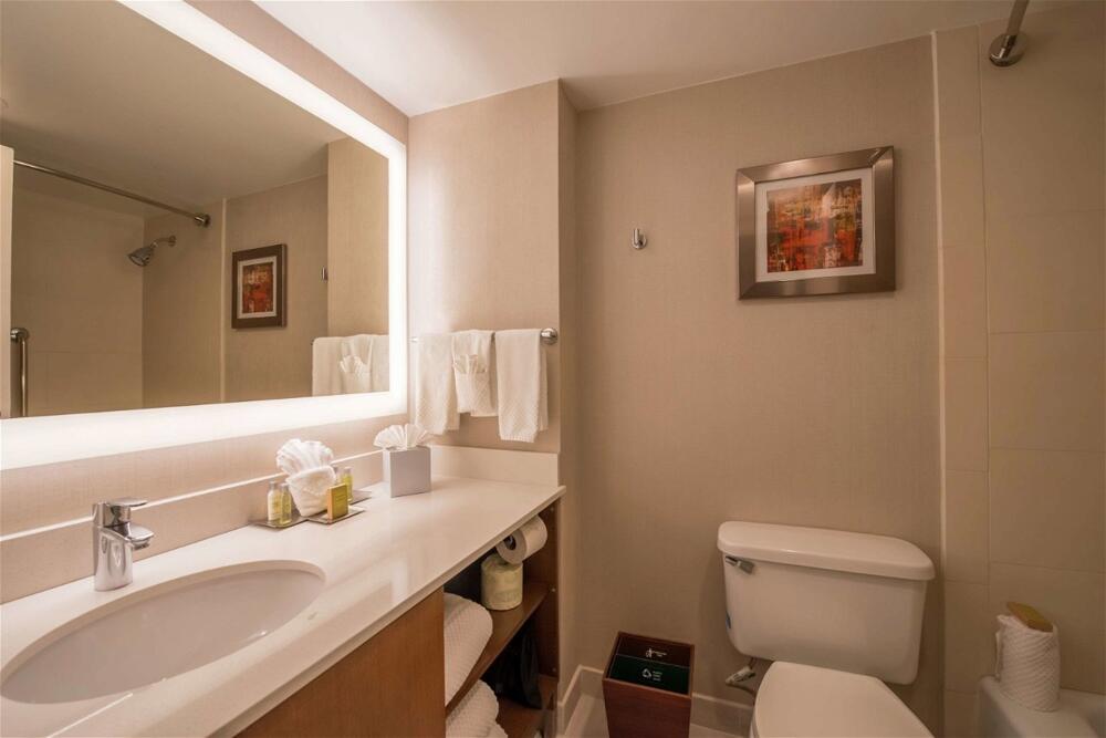 Foto del baño de Hotel DoubleTree by Hilton Atlanta North Druid Hills/Emory Area