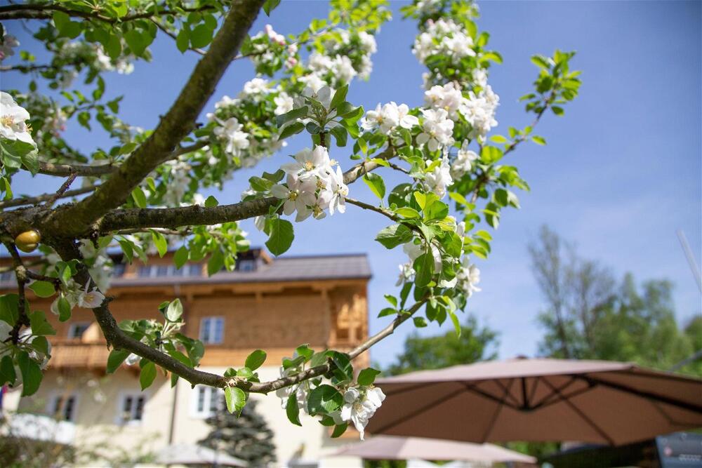 Foto general de Hotel Försterhof