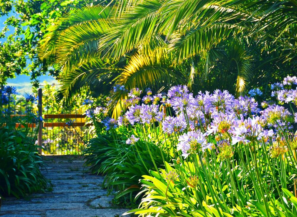 Foto general de Hotel Quinta de San Amaro