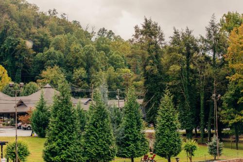 Foto del entorno de Hotel Brookside Lodge