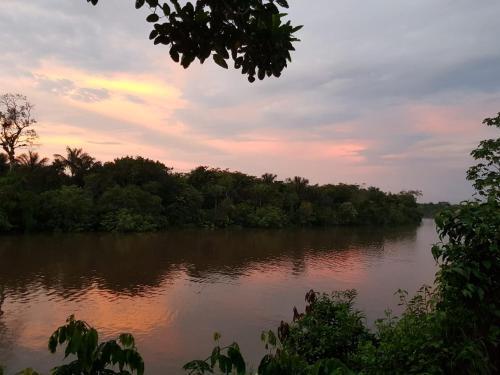 Foto del entorno de Hotel Irapay Amazon Lodge