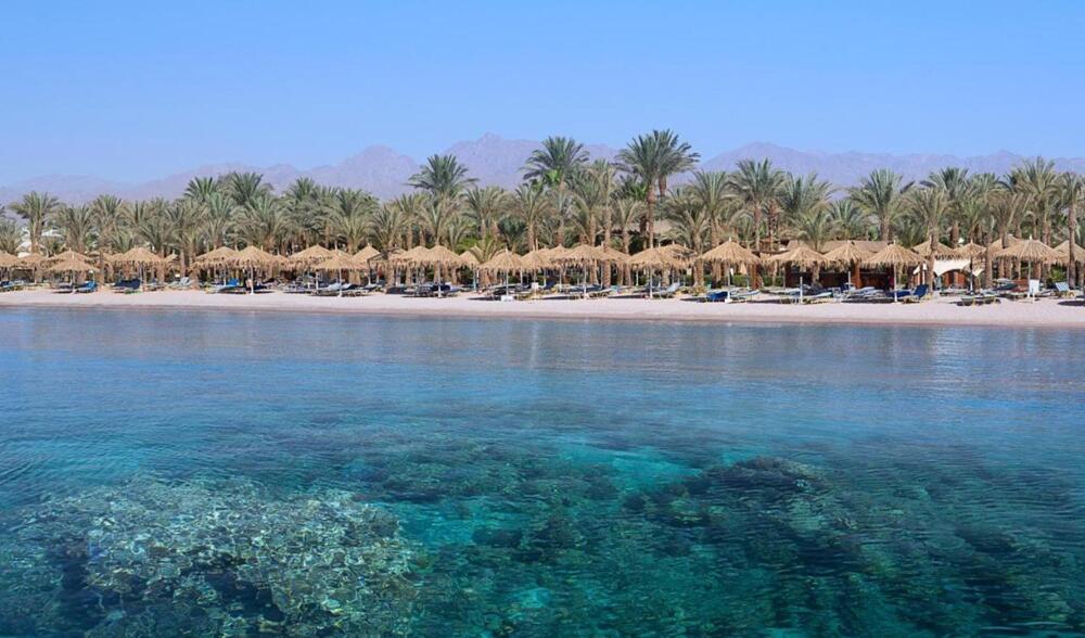Foto generica Hotel Jaz Sharm Dreams