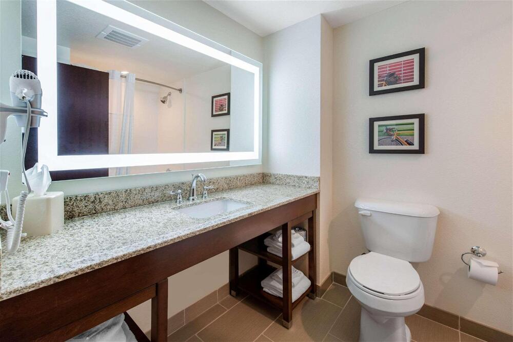 Foto del baño de Hotel Comfort Suites Denver International Airport