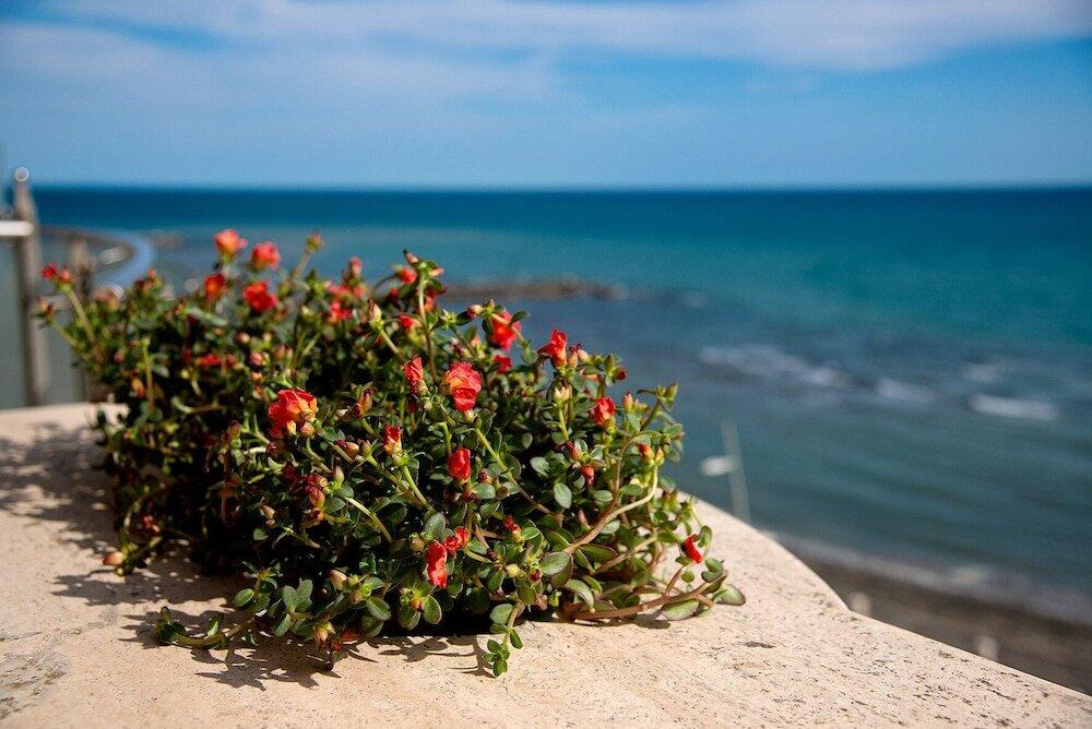 Foto del entorno de Hotel Smy Aran Blu Roma Mare