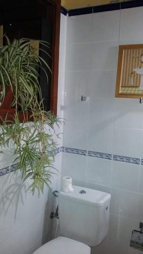 Foto del baño de Casas y chalets Casas Rurales Los Marantes