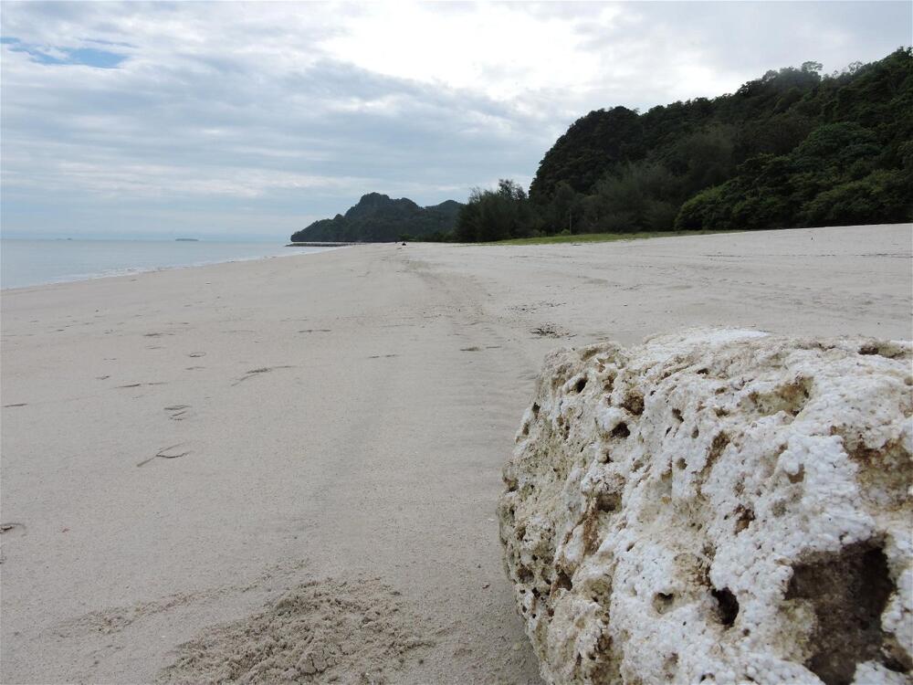 Foto general de Holiday Villa Beach Resort &amp;amp; Spa Cherating