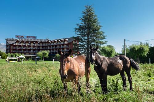 Foto del entorno de Puigcerda Park Hotel