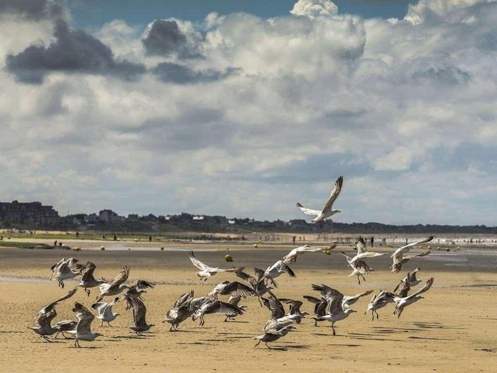 Foto general de Le Grand Hôtel Cabourg - MGallery