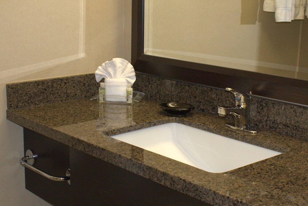 Foto del baño de Holiday Inn Chicago - Elk Grove, an IHG Hotel