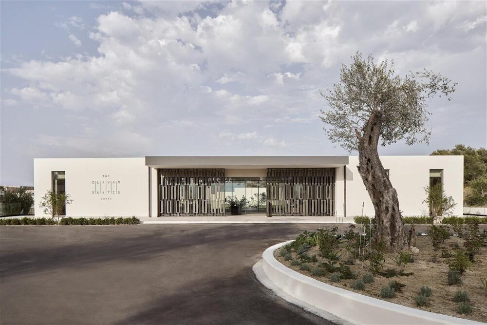Foto del exterior de Hotel The Olivar Suites