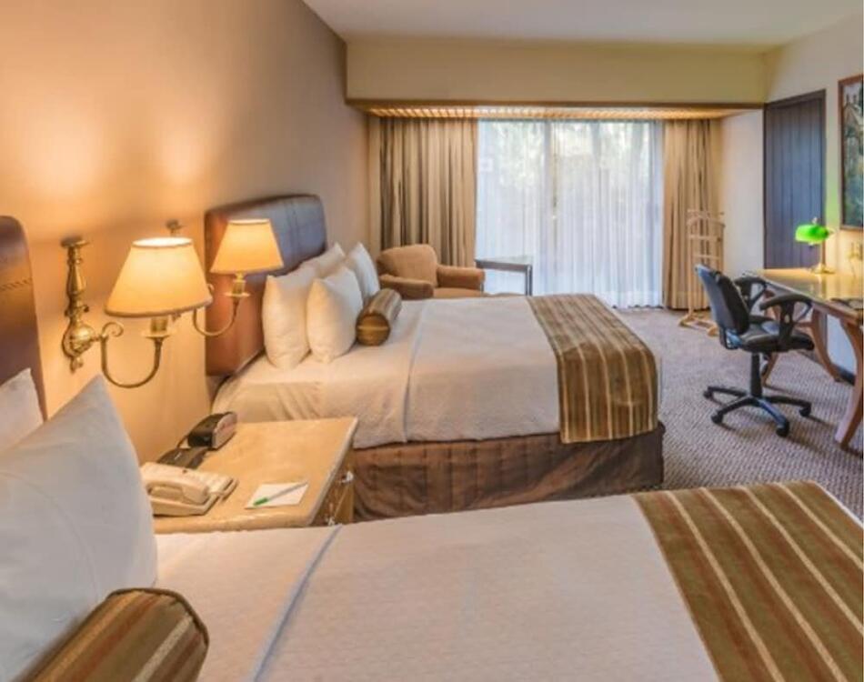 Foto de una habitación de Hotel Wyndham Garden Guadalajara Expo