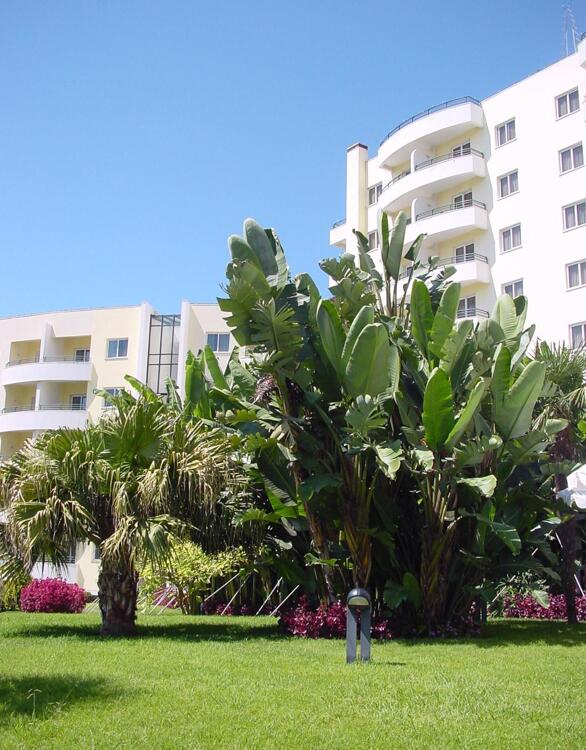 Foto general de Suite Hotel Jardins Da Ajuda