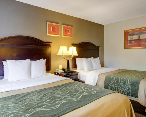 Foto de una habitación de Hotel Comfort Inn &amp;amp; Suites Airport Dulles-Gateway