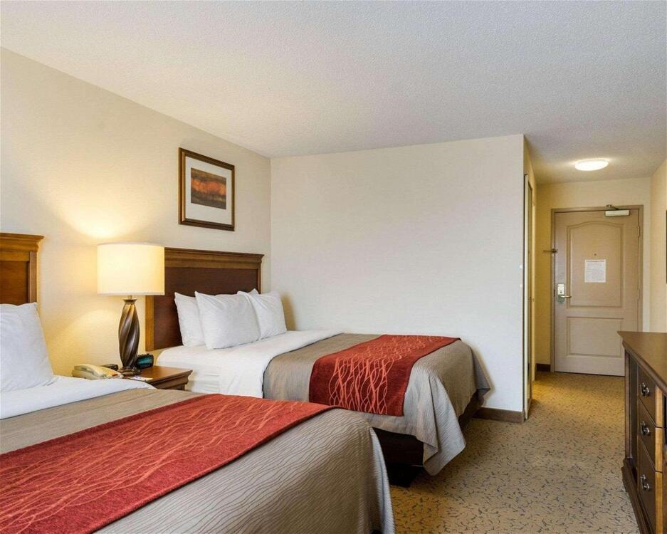 Room – Hotel Comfort Inn &amp;amp; Suites