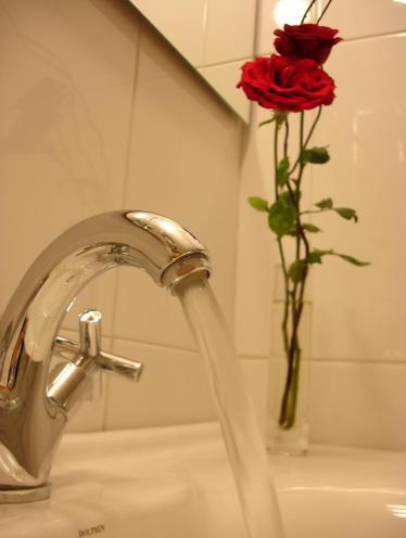 Foto del baño de Hotel Panamericano